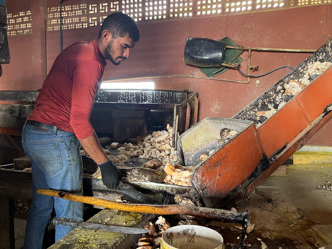 Centec e Adece realizam atividades de apoio aos produtores de mandiocultura em Salitre