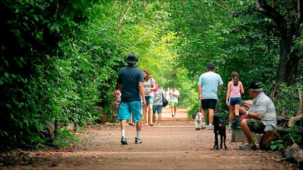 Parque do Cocó oferece atividades gratuitas neste fim de semana