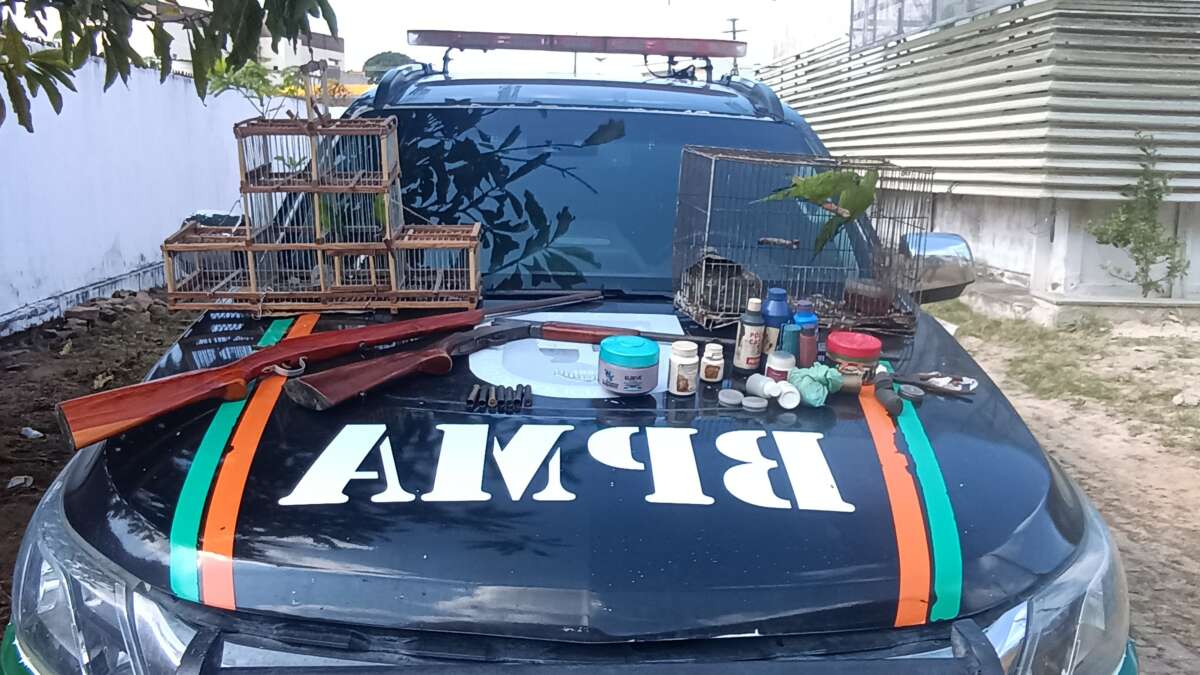 Polícia Militar apreende duas espingardas e resgata quatro pássaros silvestres em Reriutaba