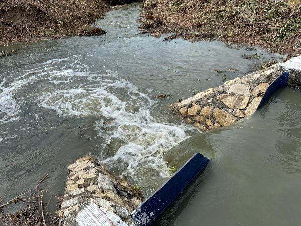Comporta do Açude Pacajus é aberta para beneficiar população rural de Cascavel