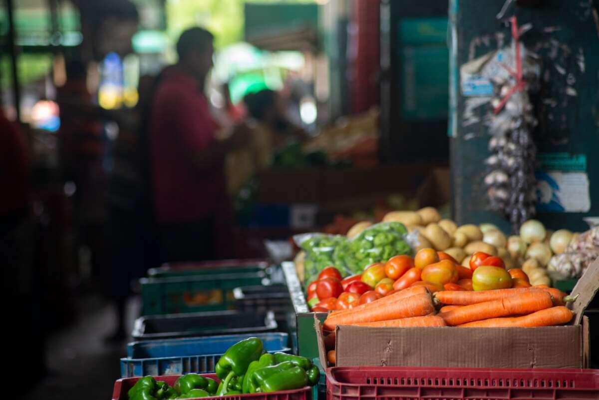 Pimentão apresenta queda de 25,15% em seu preço na Ceasa Tianguá