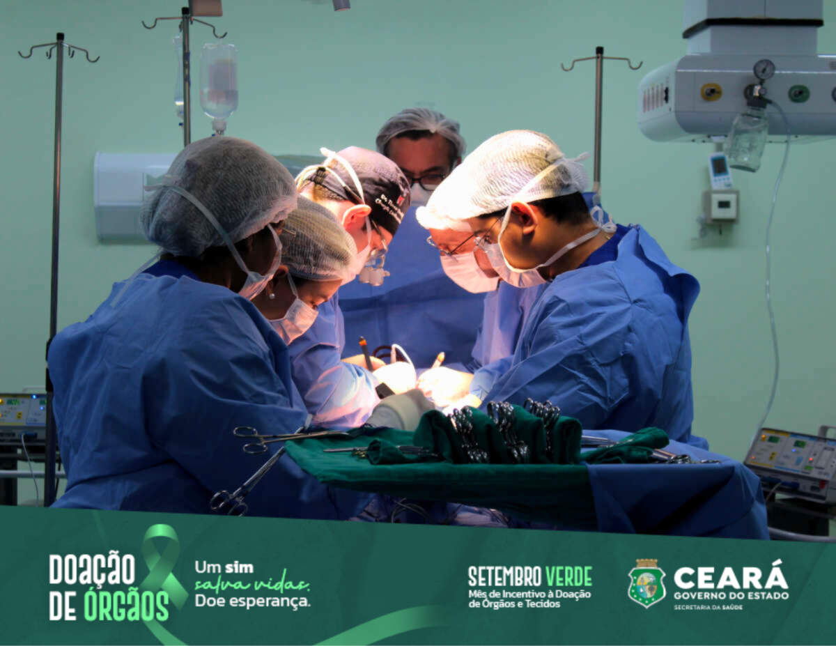 Setembro Verde: Sesa realiza curso sobre preservação e perfusão de órgãos sólidos removidos para transplante