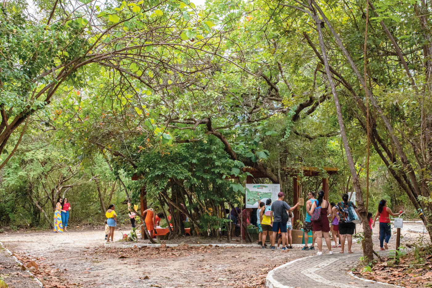 Parque Estadual Botânico do Ceará completa 28 anos de preservação ambiental