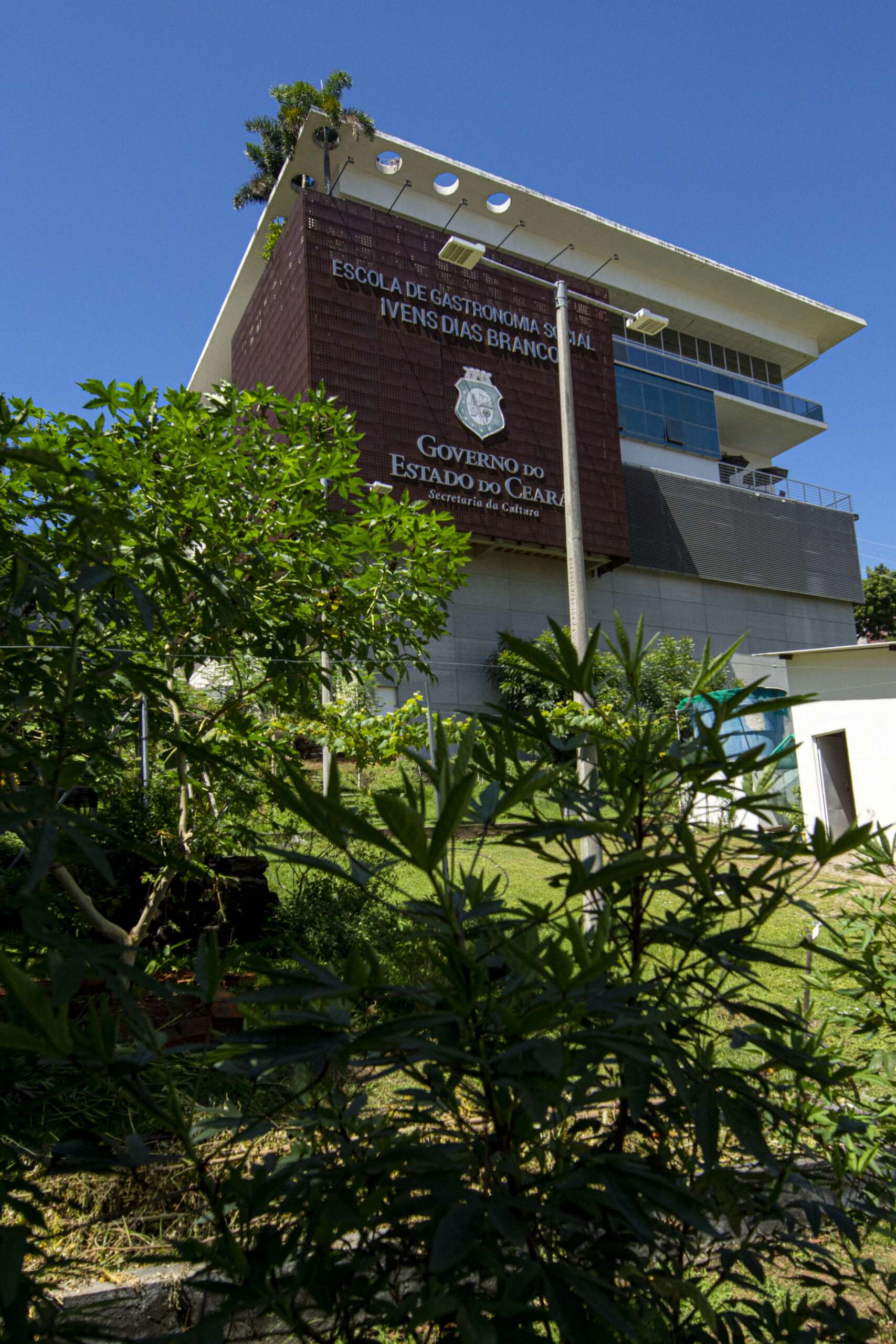 Escola de Gastronomia Social realiza encontro no Dia Mundial do Veganismo