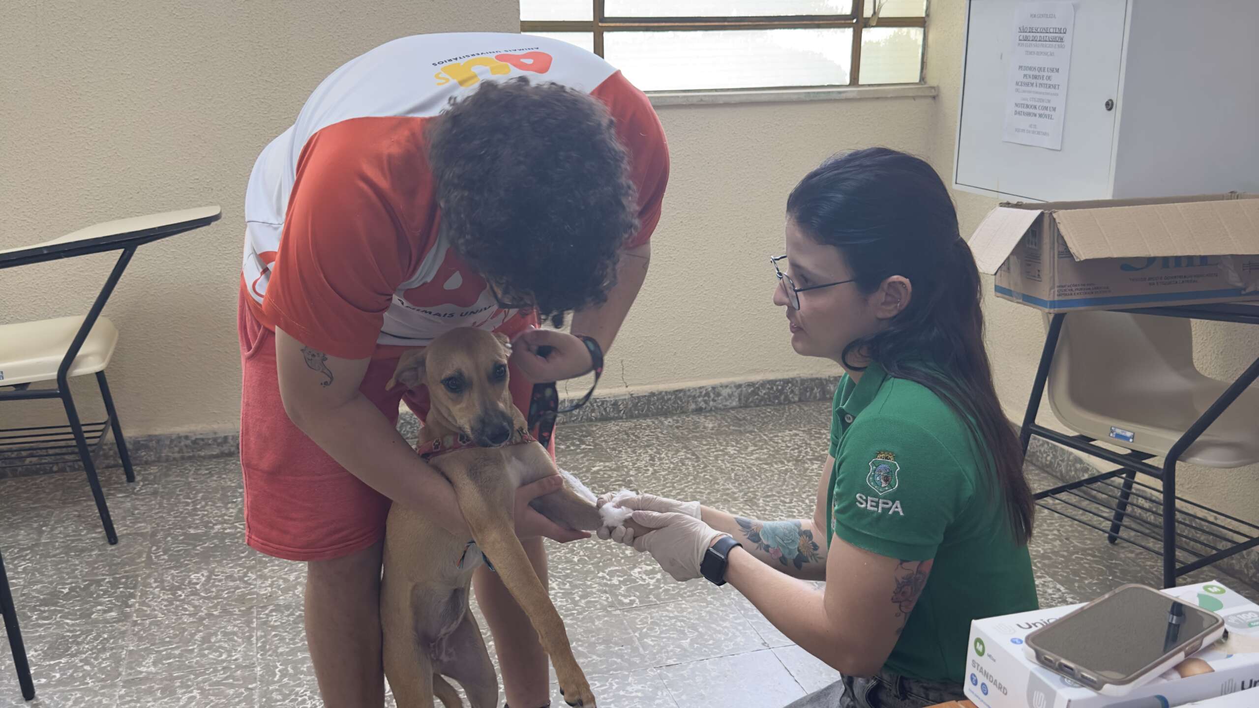 Pet Ceará Móvel realiza castração de animais em campi da UFC