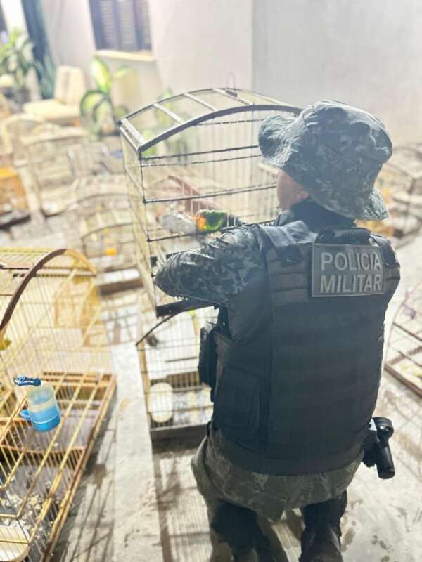 BPMA da PMCE resgata 47 pássaros silvestres em Redenção