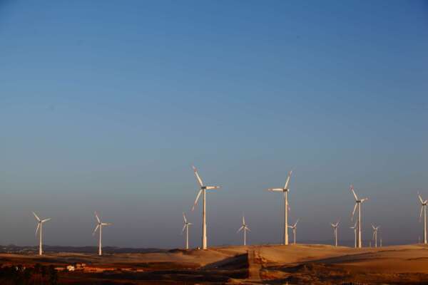 Ceará recebe cúpula mundial de transição energética e reafirma protagonismo em energias renováveis