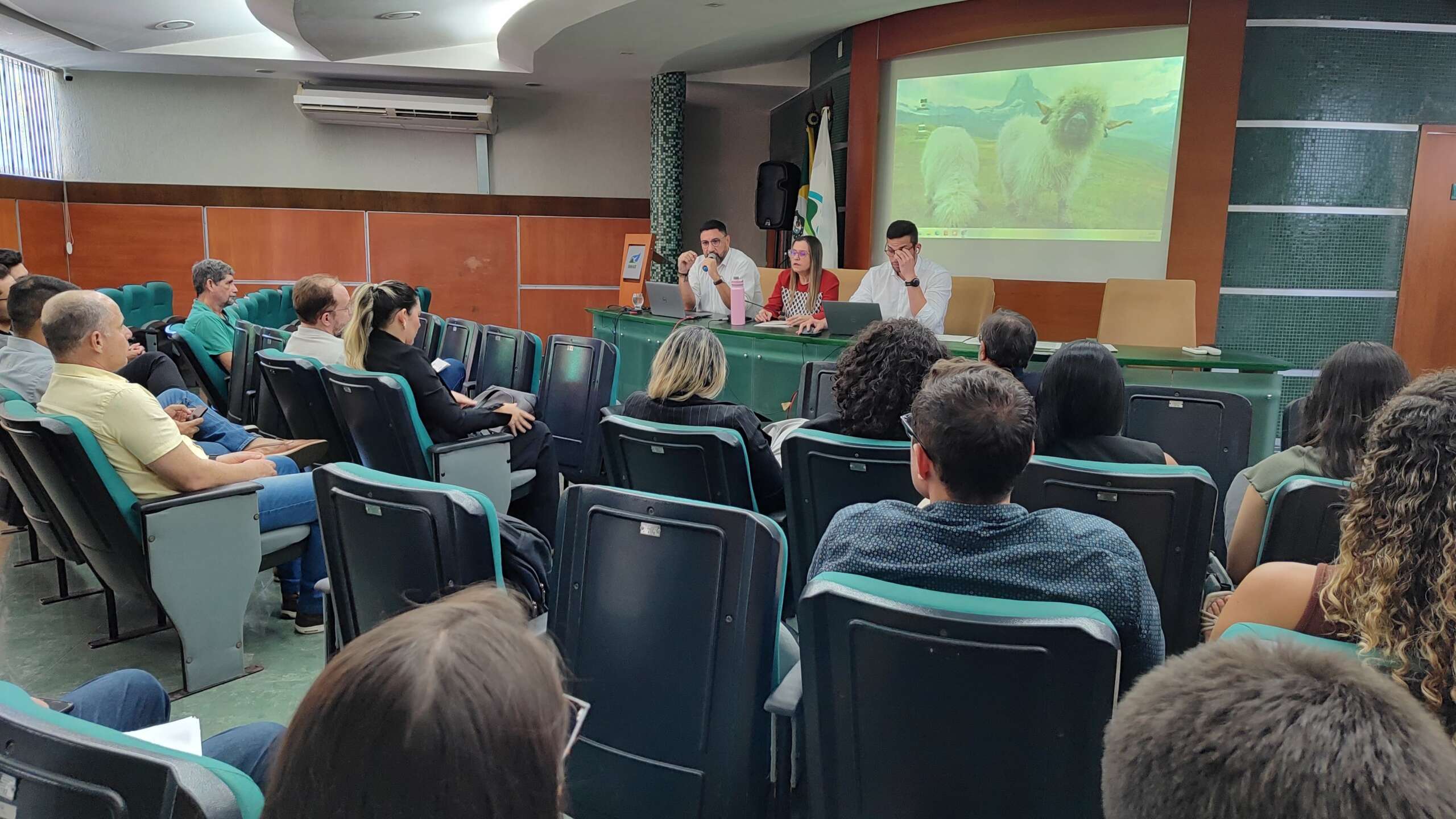 Coema aprova projetos de energia solar que totalizam investimentos de R$ 1,3 bilhão no Ceará