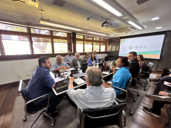 Membros do Comitê para a Transformação Digital discutem avanços na prestação de serviços ao cidadão de forma digital