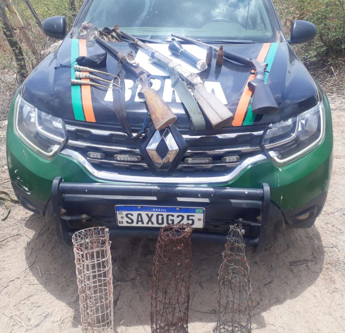 PMCE resgata 20 galos e apreende três armas em rinha na cidade de Milagres