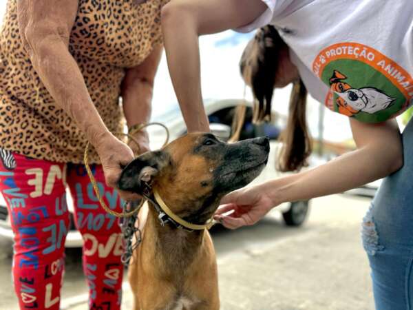 Ceasa-CE realiza ações de saúde para pets do entreposto de Maracanaú