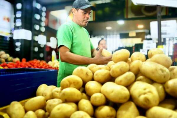 IPCE registra queda de 13,49% no Setor Raiz, Bulbo e Rizoma no acumulado anual