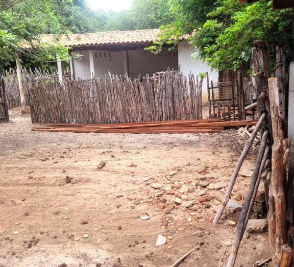 Equipes da PCCE e PMCE recuperam carga de madeira furtada