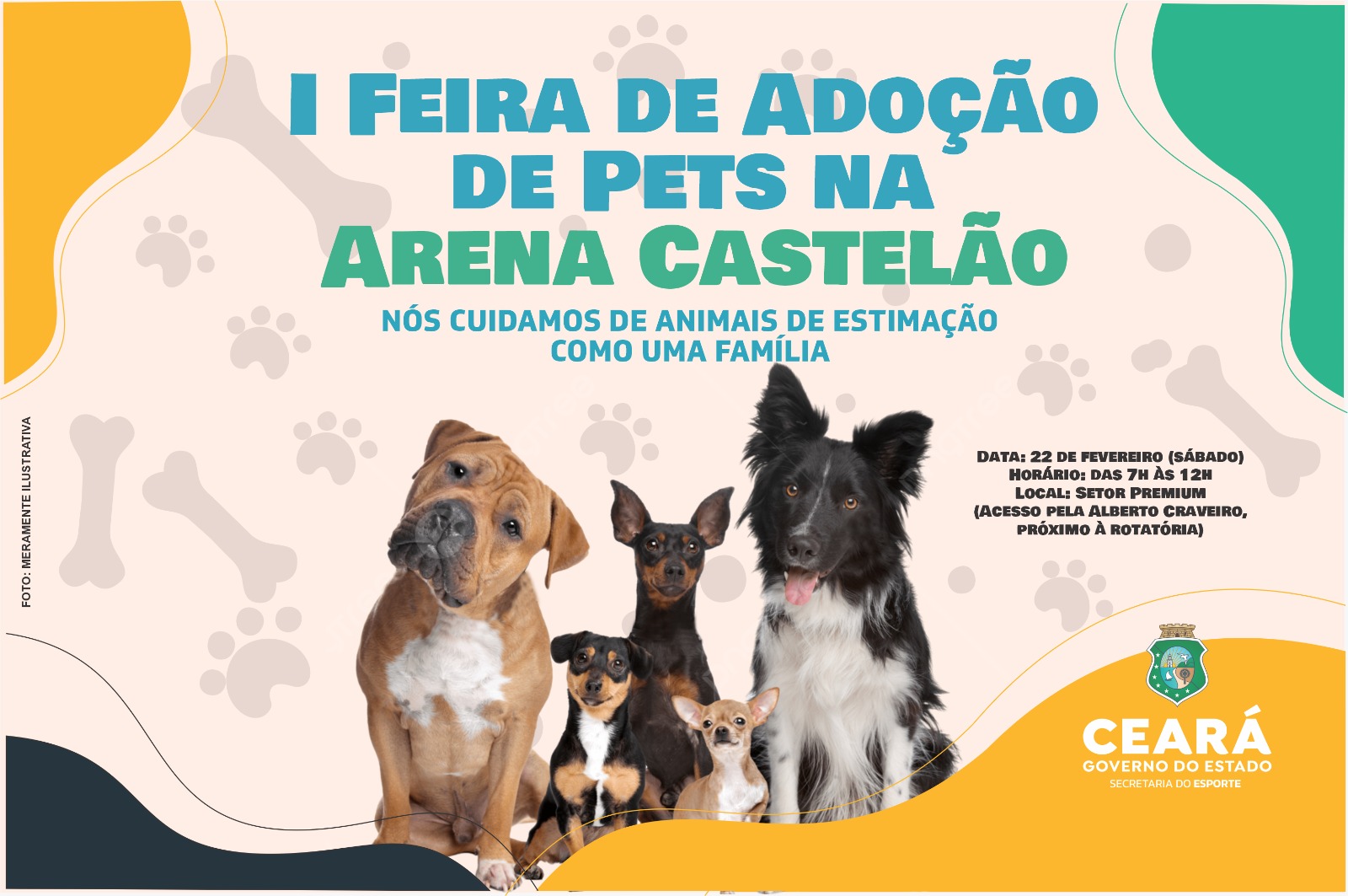 Arena Castelão realiza I Feira de Adoção de Animais, neste sábado (22)
