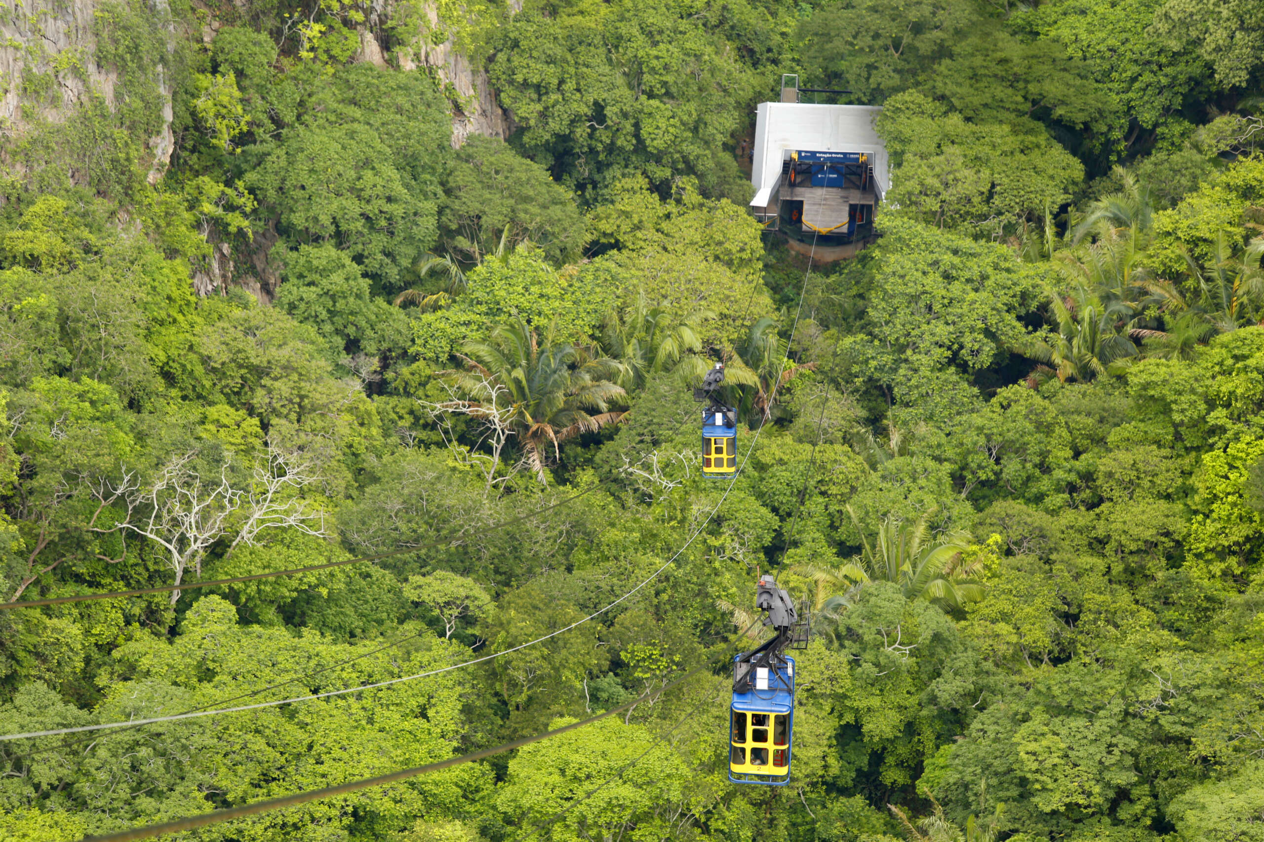 Bondinho de Ubajara arrecada mais de 5 toneladas de alimentos no Carnaval de 2025