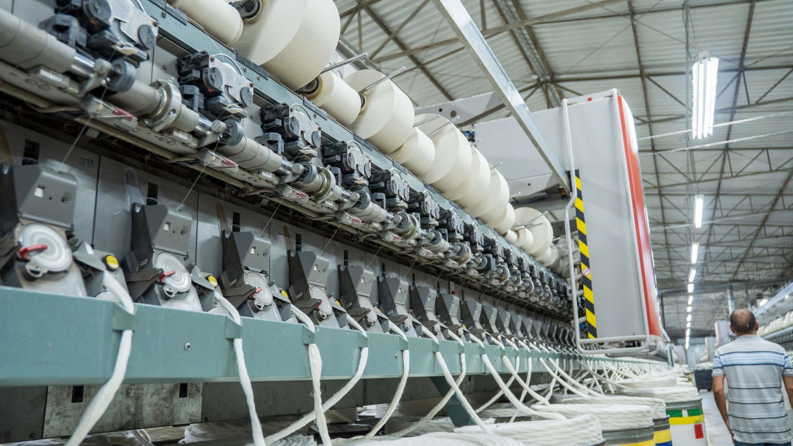 Ceará alinha estratégias para revitalização do cultivo de algodão no estado