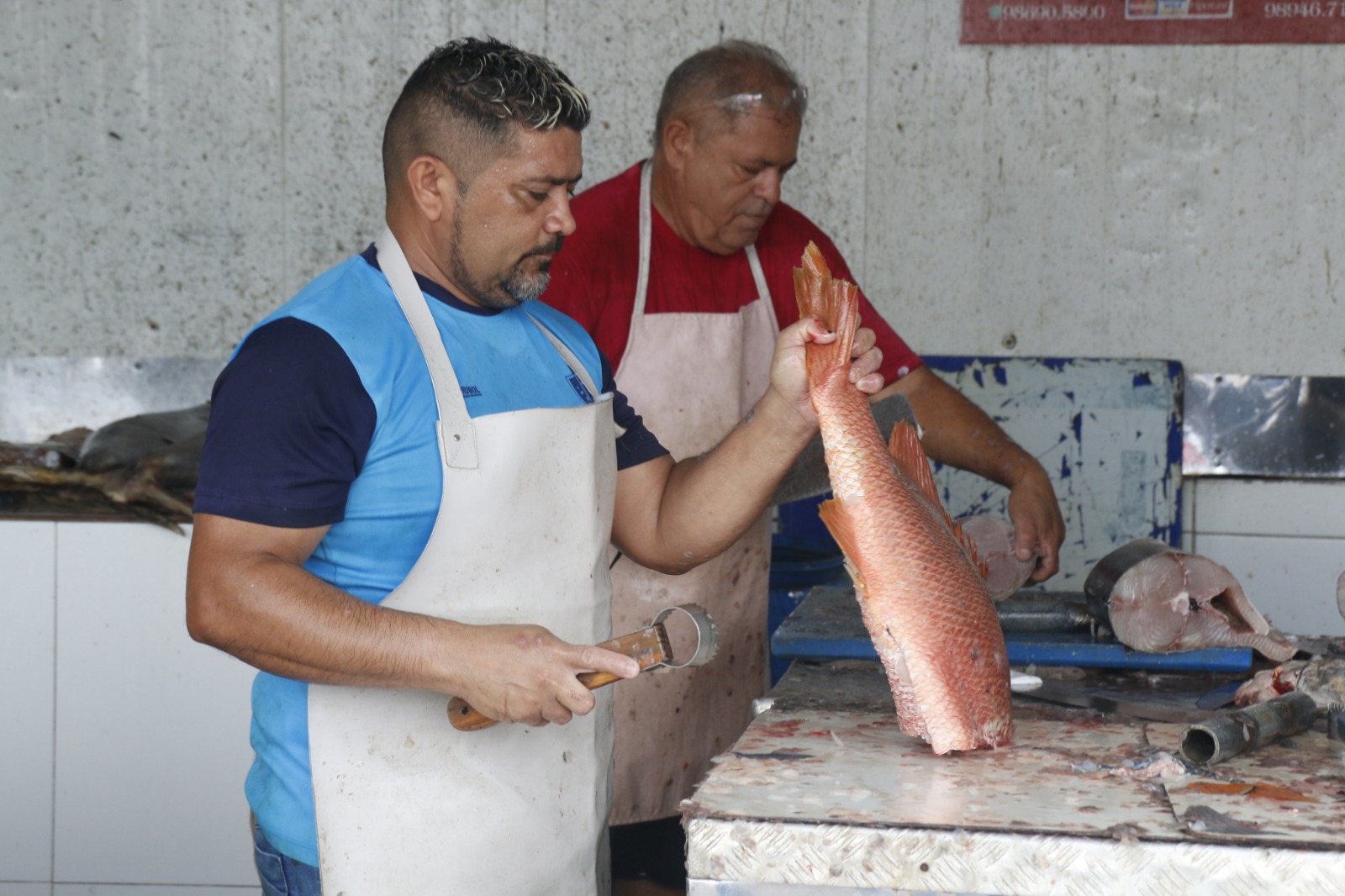 Procura por pescados cresce 20% na Ceasa em Maracanaú