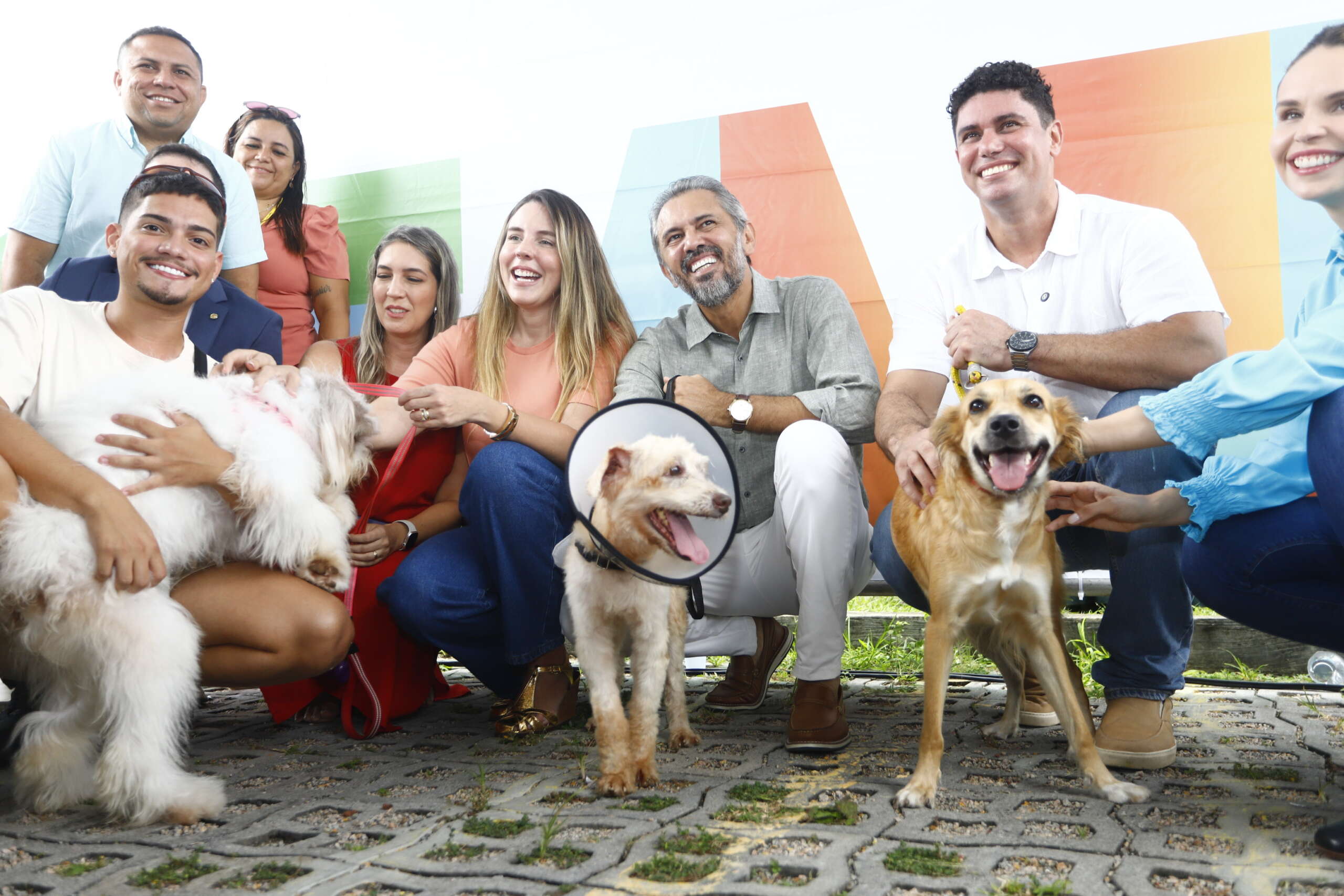 Atendimento do Pet Ceará Móvel é ampliado para realização de até 200 castrações por dia