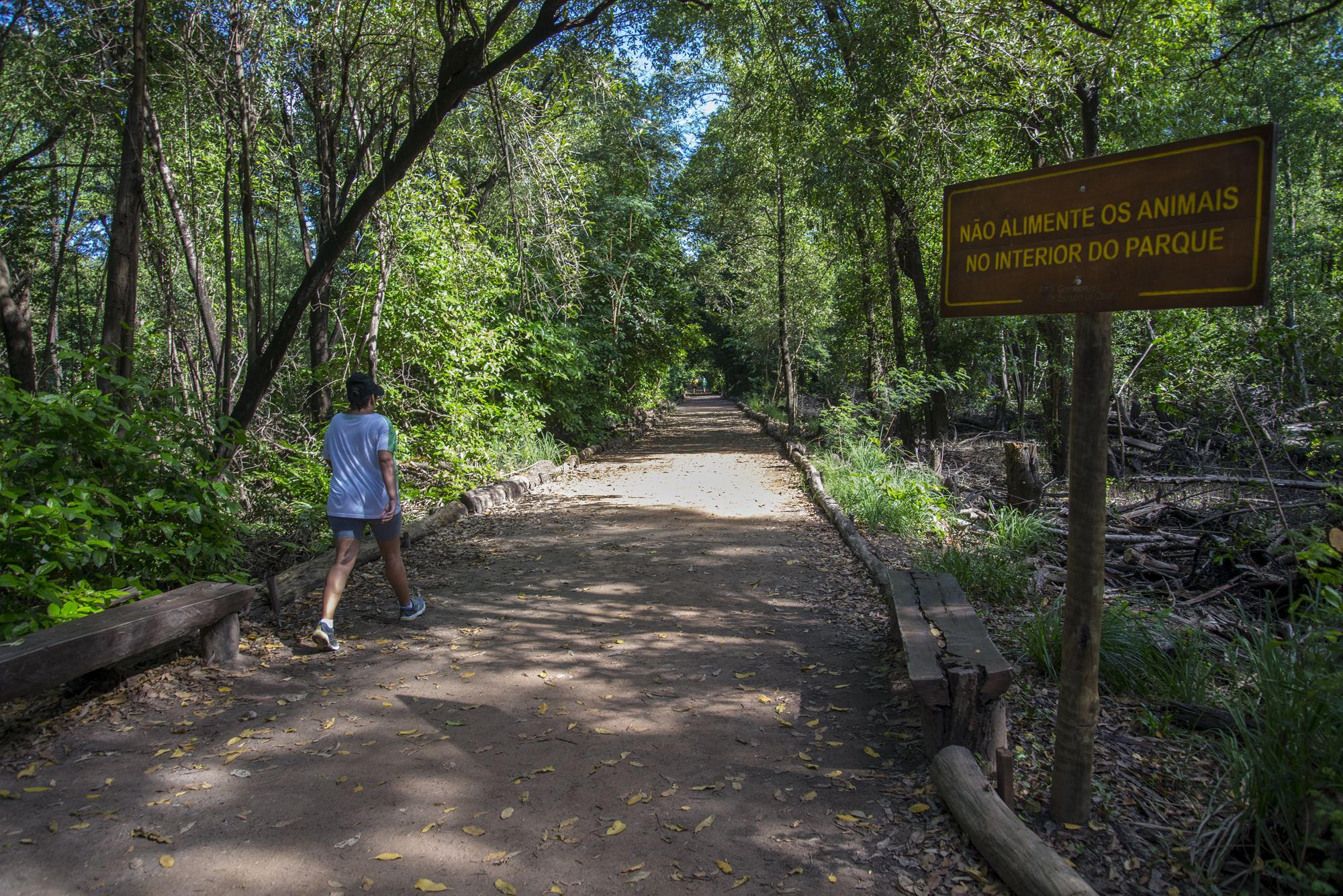 Trilhas do Parque do Cocó, em Fortaleza, são reabertas para o público