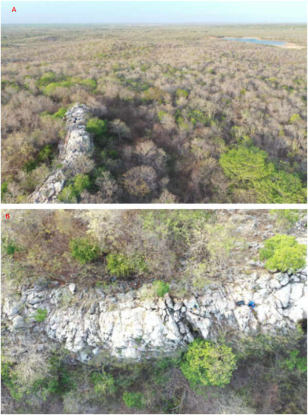 Artigo liderado pela Uece aponta potencial para produção sustentável de fertilizantes no Ceará