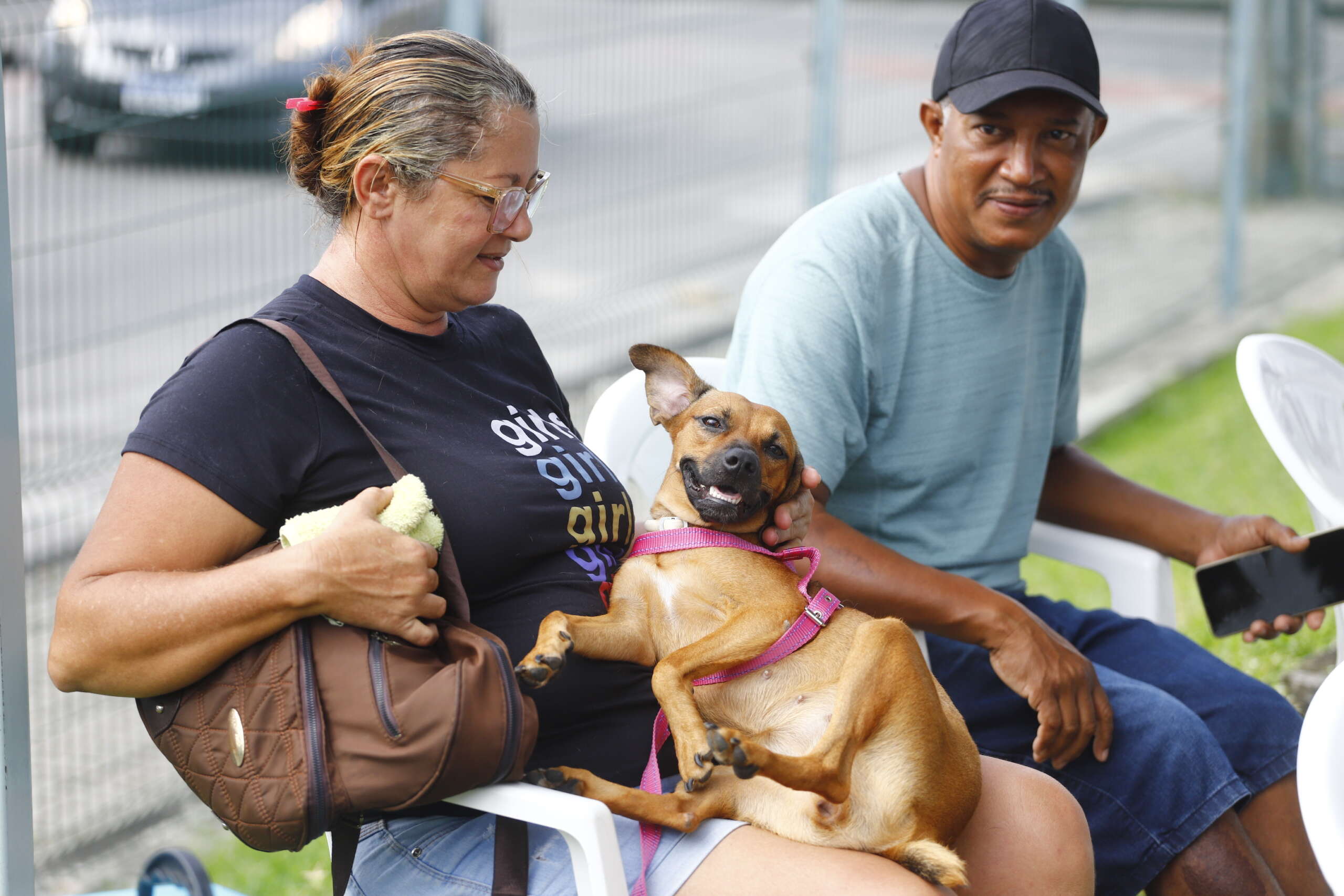 Pet Ceará Móvel estaciona no Castelão; agendamento já está disponível