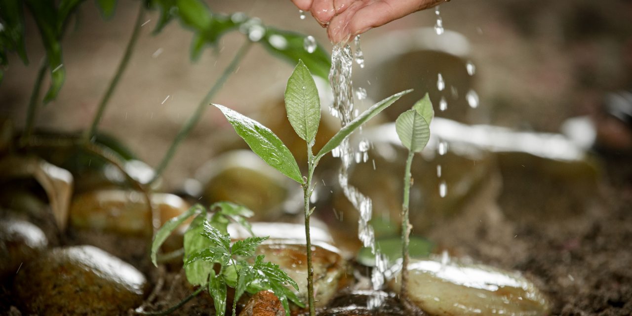 Sustentabilidade: Cagece renova compromisso com o Pacto Global da ONU