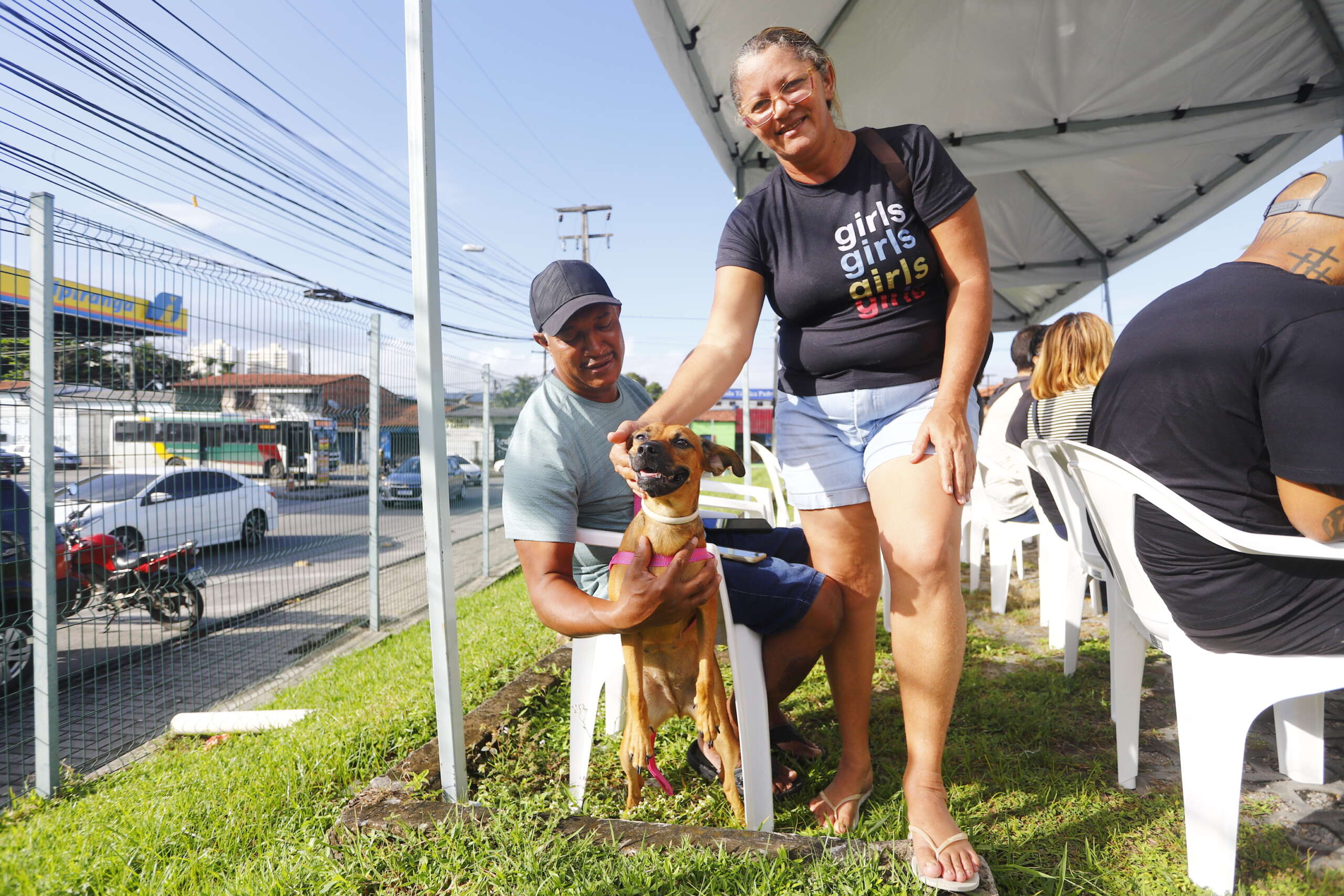 Pet Ceará Móvel: equipamento do Governo do Ceará realiza mais de 10 Mil castrações em 3 meses