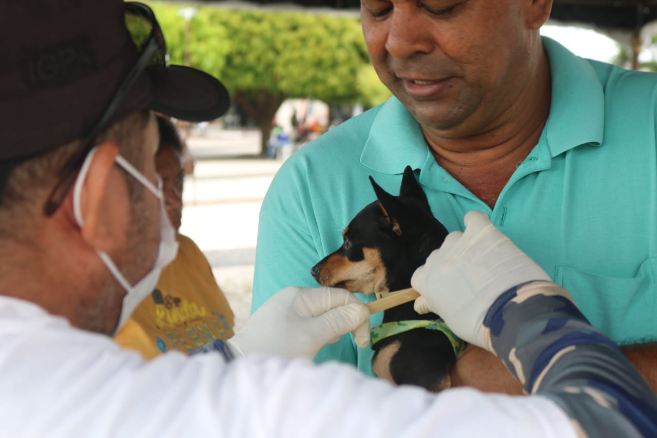 Giro Pet Ceará leva serviços gratuitos a quatro cidades nesta semana