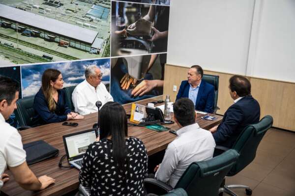 Com foco em transição energética, SDE e Sindienergia se reúnem para discutir realização da sétima edição do ProEnergia Summit