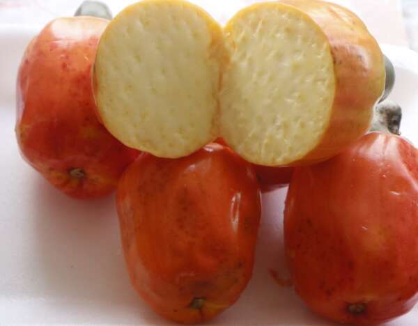 Início da safra do caju movimenta a Ceasa em Maracanaú