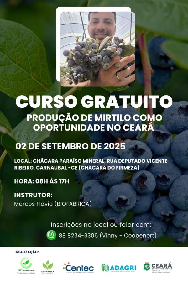 SDE promove curso gratuito de produção de mirtilo em Carnaubal