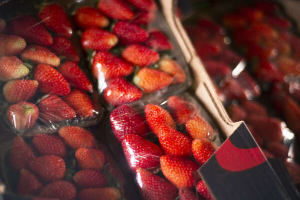 Preços do morango, manga e batata inglesa registram queda na Ceasa-CE