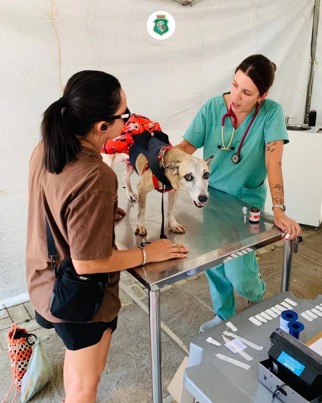 Pet Ceará Móvel oferece castração gratuita em Tianguá a partir de quarta (8)