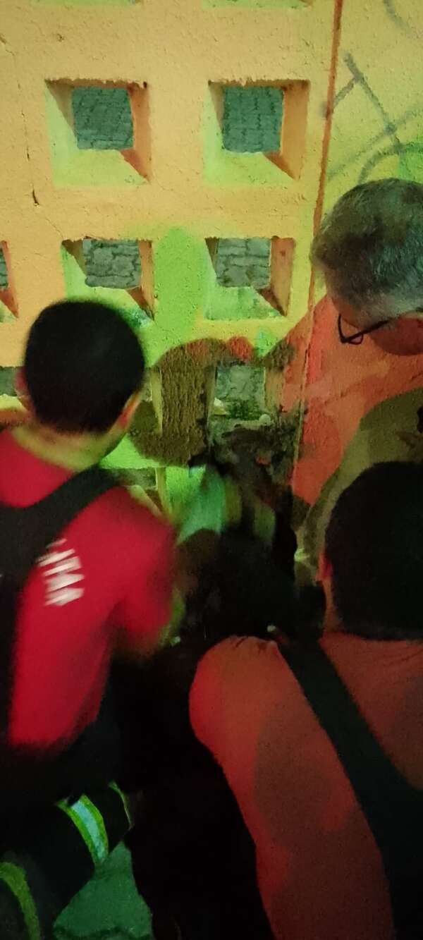 Cachorro prende cabeça em parede e é resgatado por bombeiros militares