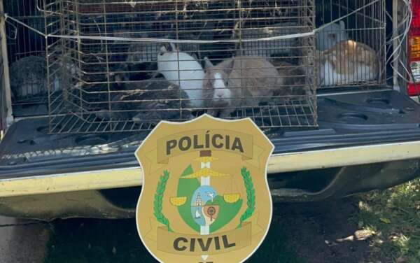 PCCE resgata animais vítimas de maus-tratos e animais silvestres mantidos em cativeiro no Edson Queiroz