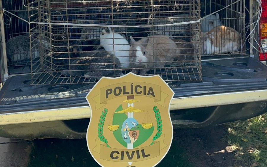 PCCE resgata animais vítimas de maus-tratos e animais silvestres mantidos em cativeiro no Edson Queiroz