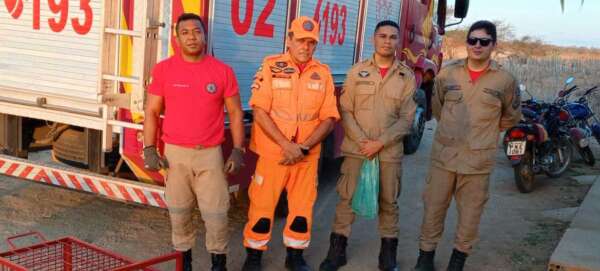Corpo de Bombeiros resgata nove jacarés em poço na zona rural de Crateús