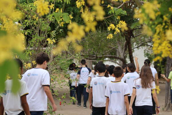 III Seminário de Educação Ambiental e Patrimonial destaca a relação entre Infância, Cultura e Território no Sertão Monumental
