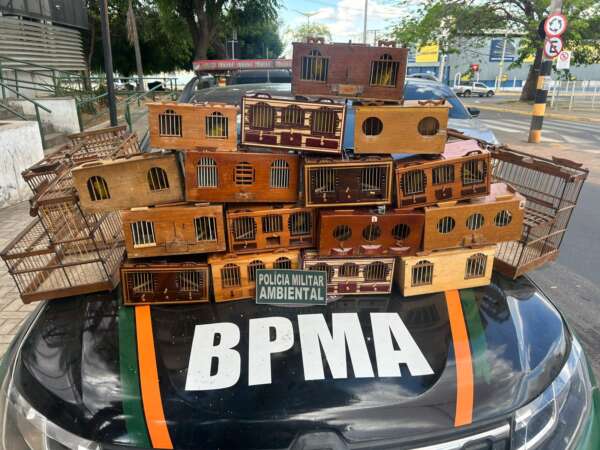 Polícia Militar apreende 30 aves silvestres usadas em rinha em Barbalha