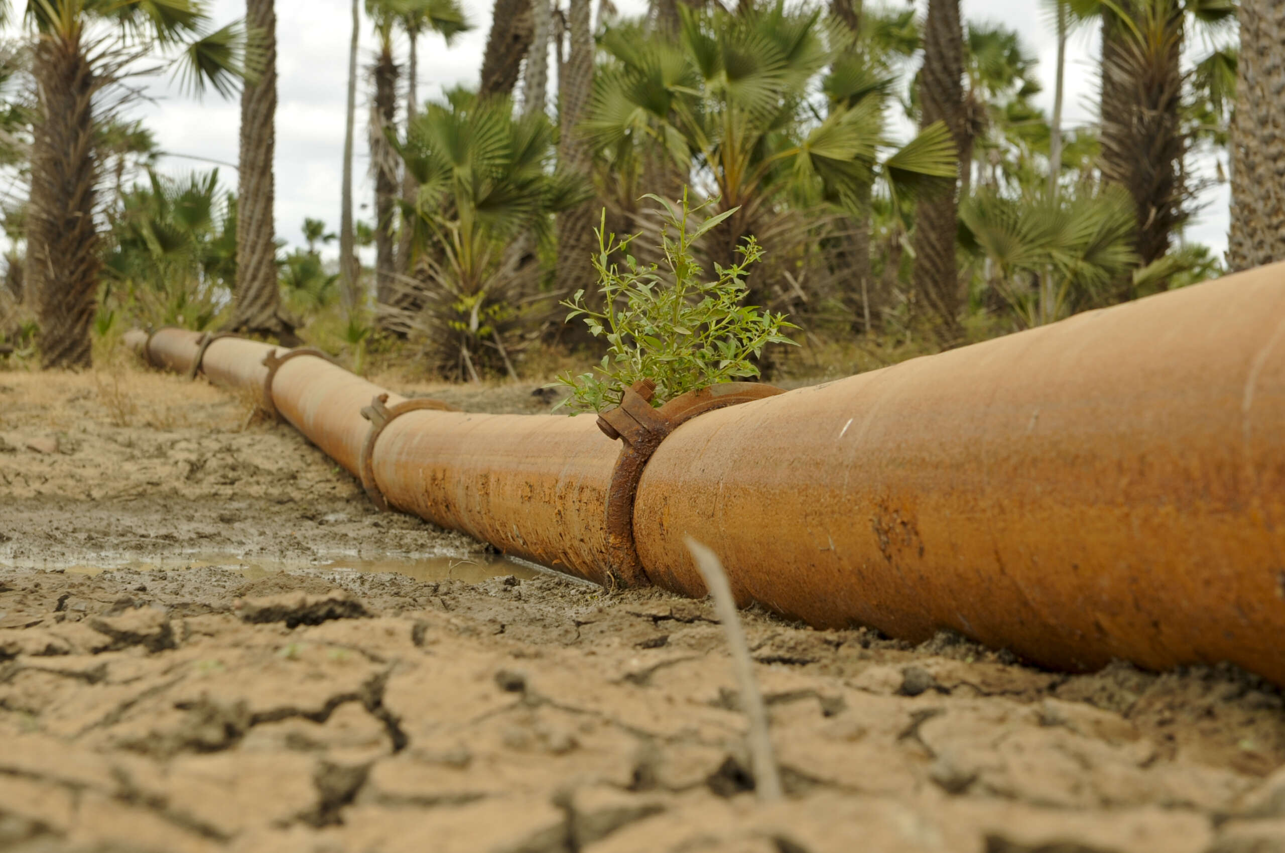 Cagece desenvolve plano proativo de gestão de secas e coloca o Ceará na vanguarda nacional