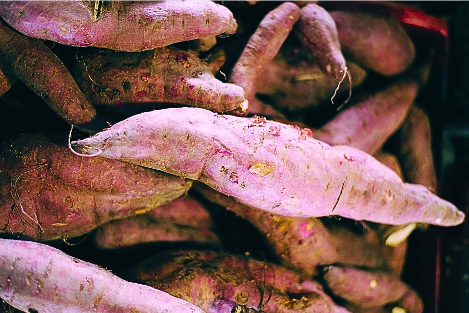 Batata-doce roxa: alimento nutritivo com forte presença no mercado da Ceasa-CE