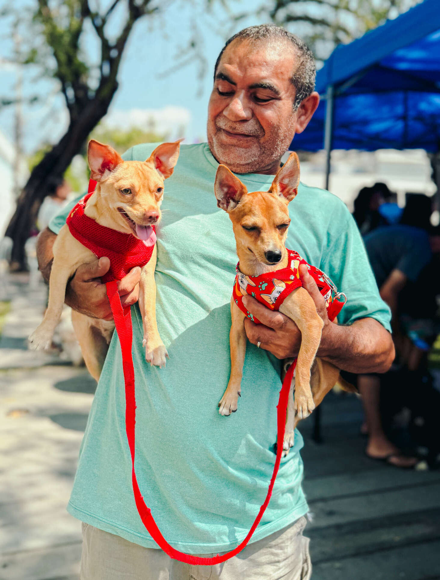 Giro Pet Ceará oferece serviços gratuitos para animais na Cidade 2000, em Fortaleza