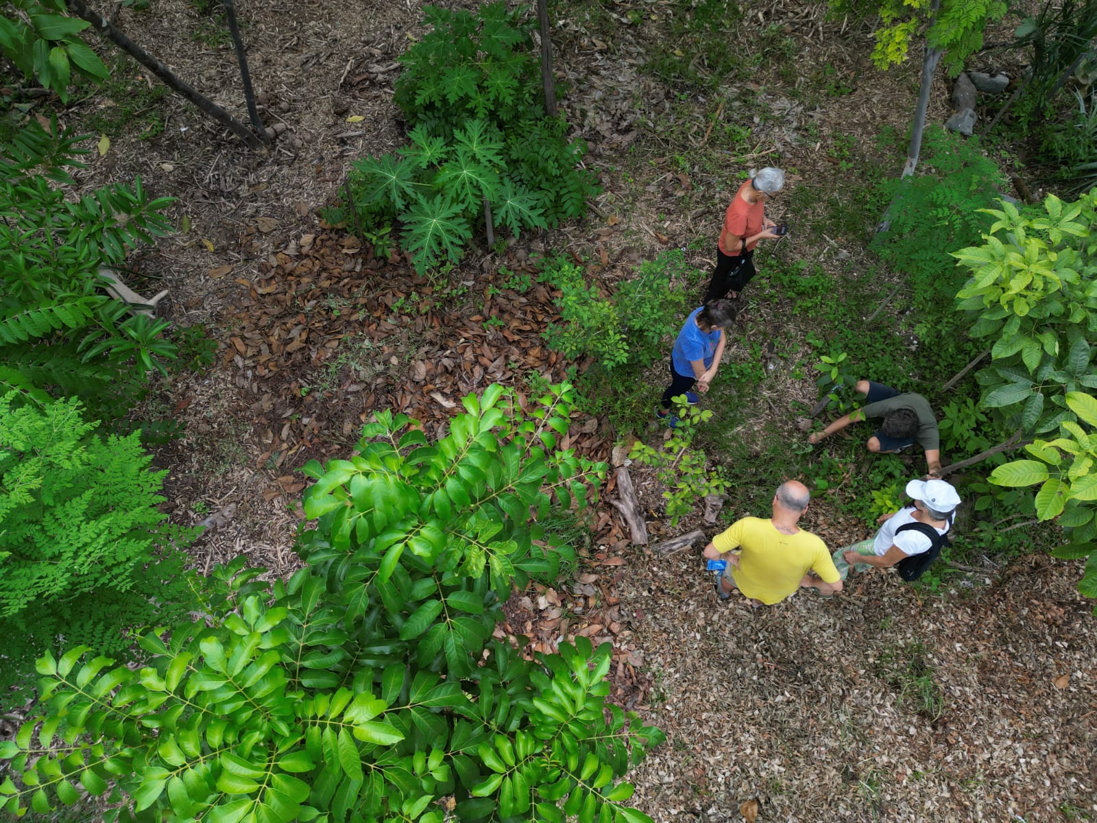 Parque do Cocó recebe oficina “Floresta de Bolso” com plantio de mudas nativas