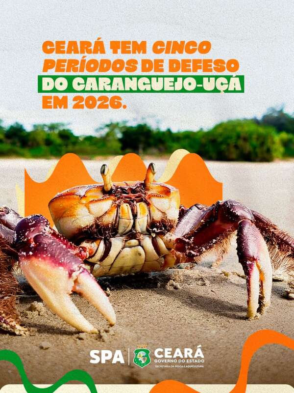 Divulgado calendário de defeso do caranguejo-uçá no Ceará