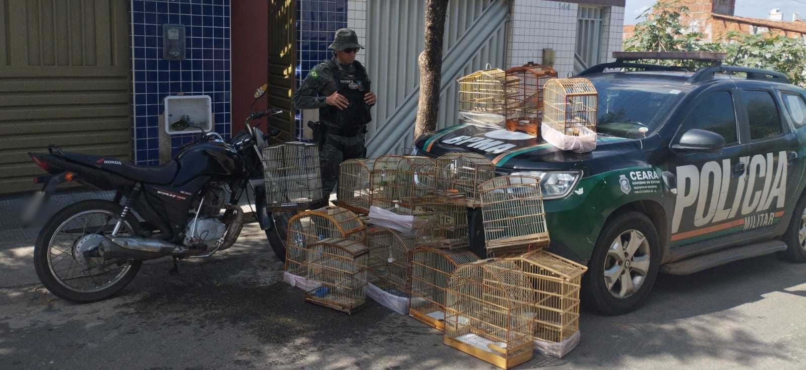 Homem é detido e 16 aves silvestres são resgatadas pela PMCE em Juazeiro do Norte