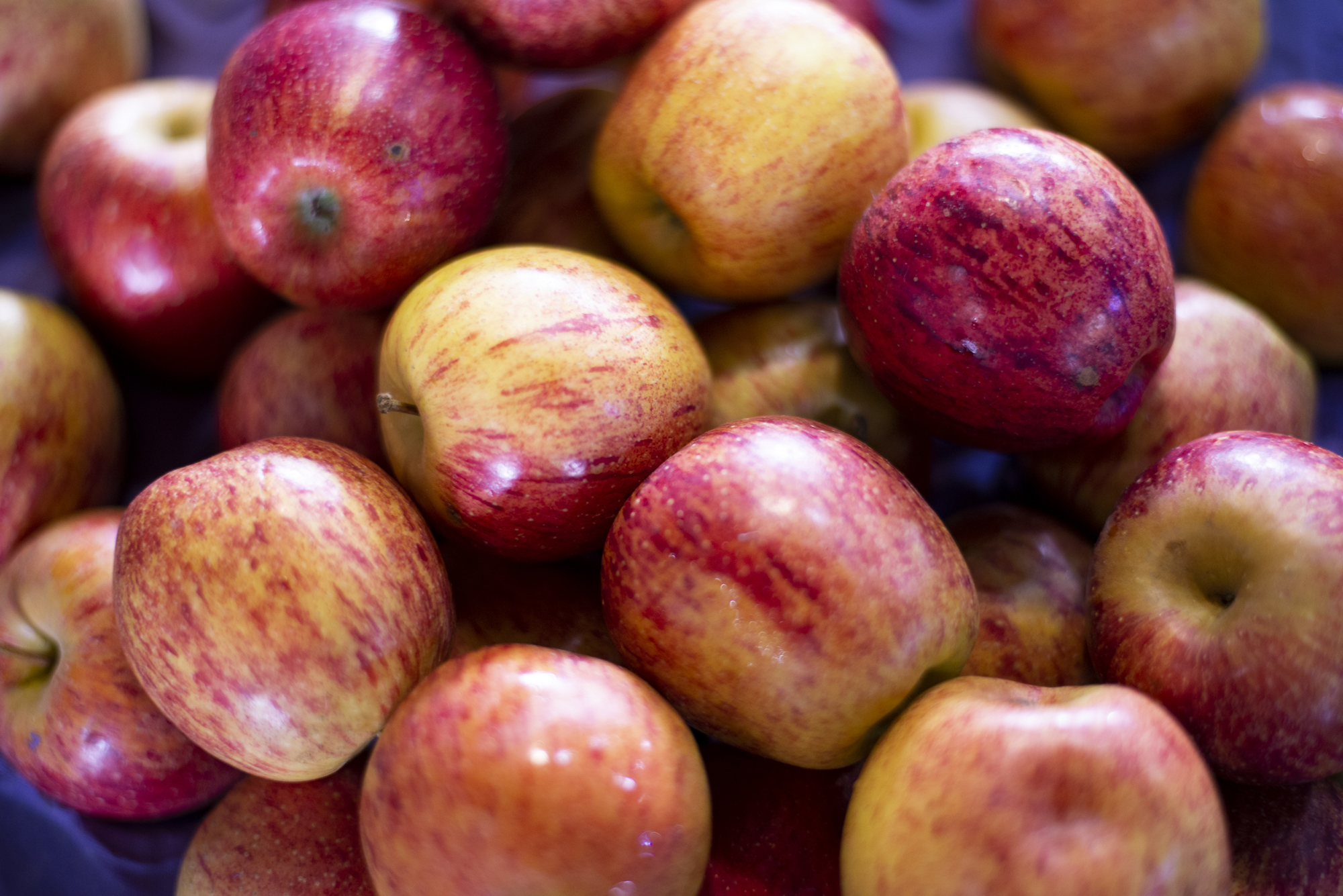 Conab divulga 1º Boletim Prohort do ano com estabilidade nos preços da laranja e da maçã