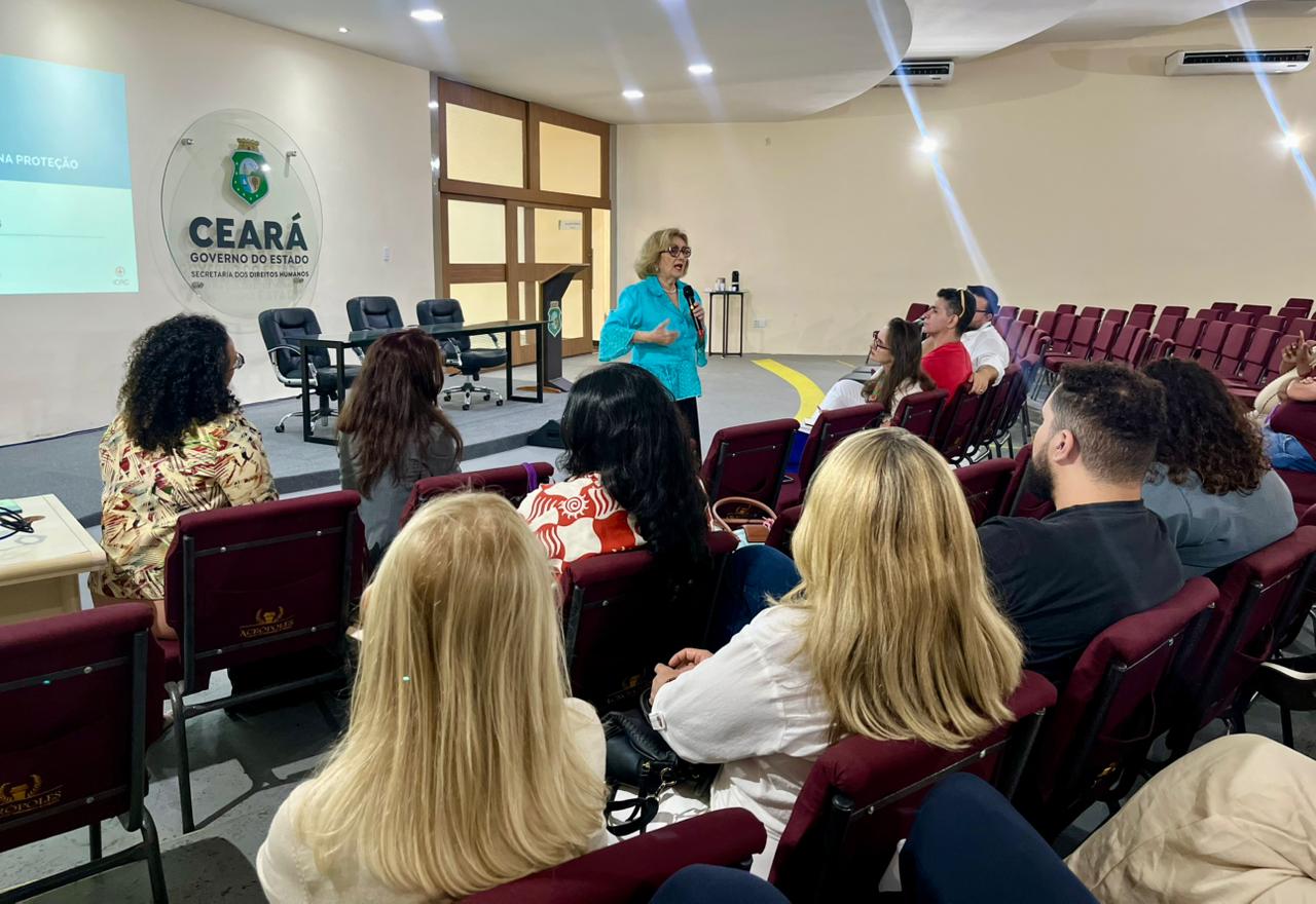 Sedih realiza Encontro de Saúde Mental com equipes dos programas de proteção em parceria com o CICV