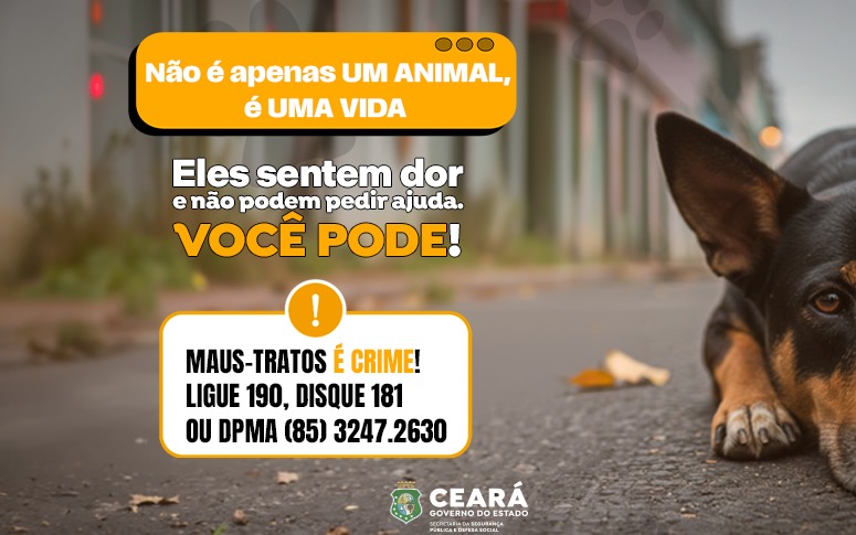 Disque-Denúncia 181 registra aumento de 65,1% nas denúncias de maus-tratos de animais