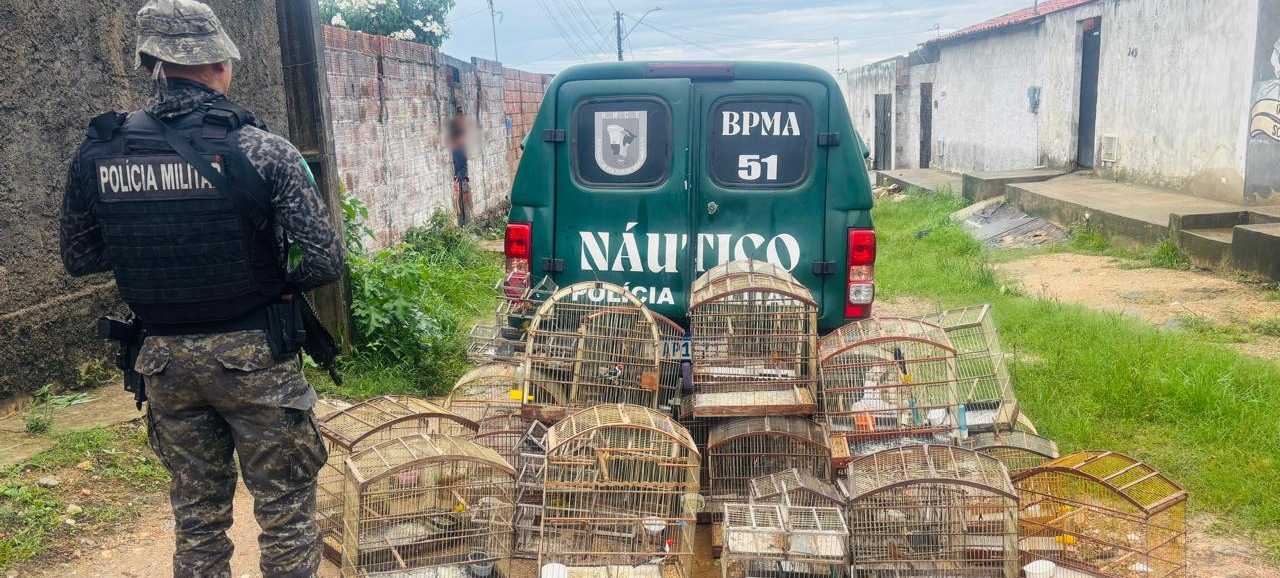 Homem é detido e 29 aves silvestres são resgatadas pela PMCE em Caucaia