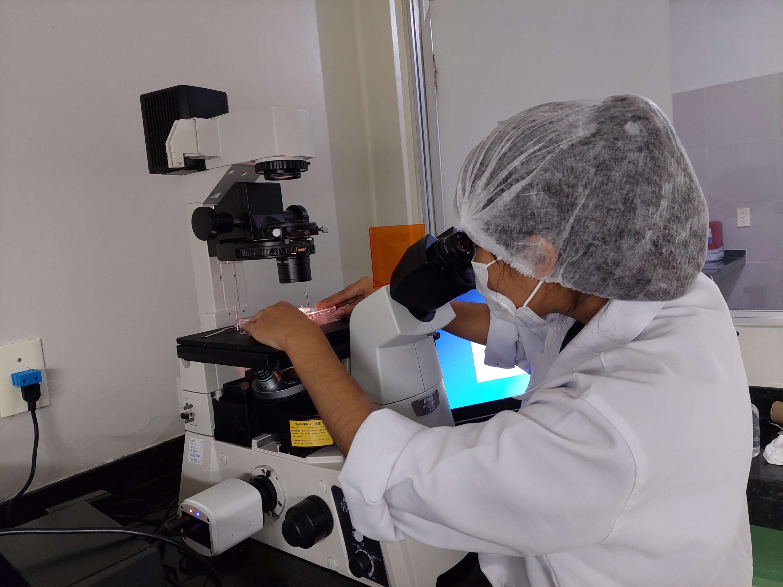 Pesquisa da Uece com animais pode contribuir para preservação da fertilidade humana